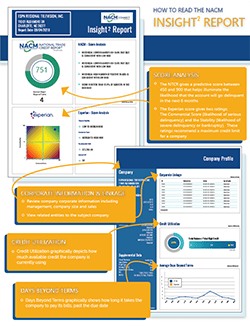 Insight2 Credit Report